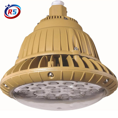 防爆LED应急照明灯型号：FEEX-07\220V\5W